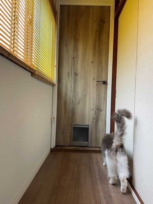 新潟市　工務店　愛猫と快適に暮らす