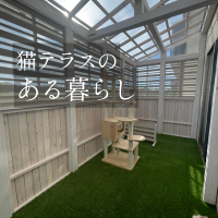 猫も人も心地よい、猫テラスのある暮らし