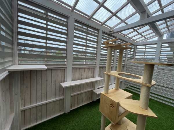 新潟市　猫リフォーム　工務店