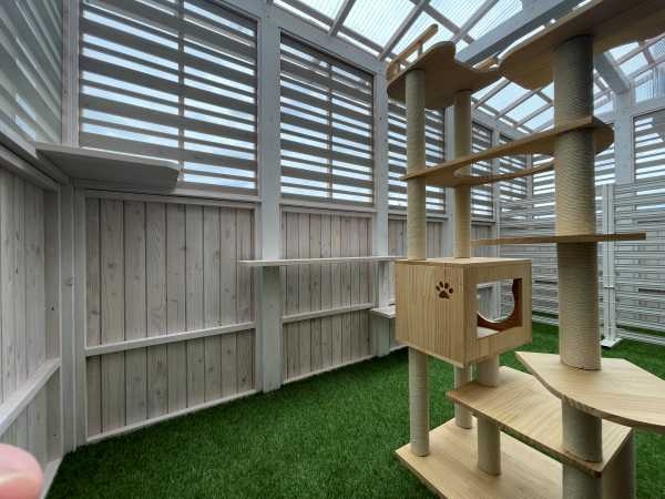 新潟市リフォーム｜ネコと暮らすための"真っ白ネコテラス"が完成しました！