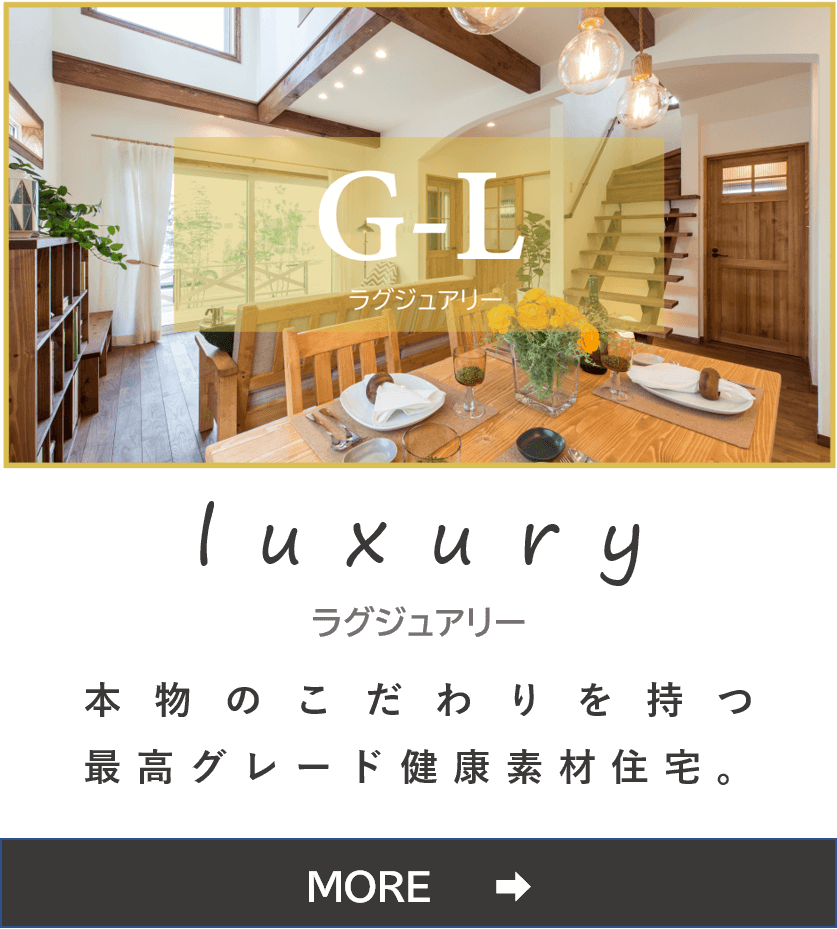 商品ラインナップ 新潟県新潟市の注文住宅 新築戸建てなら工務店の斎藤建築