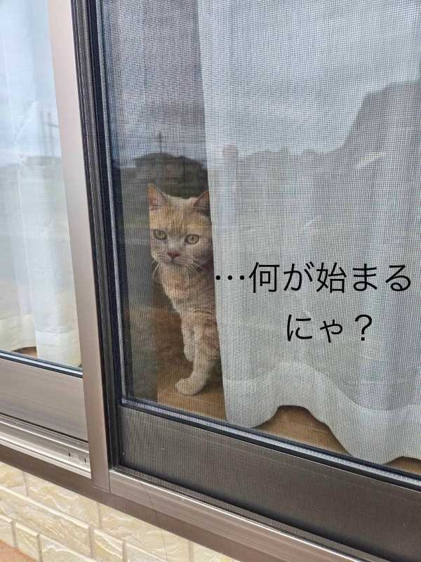 新潟市　リフォーム　テラス　工務店