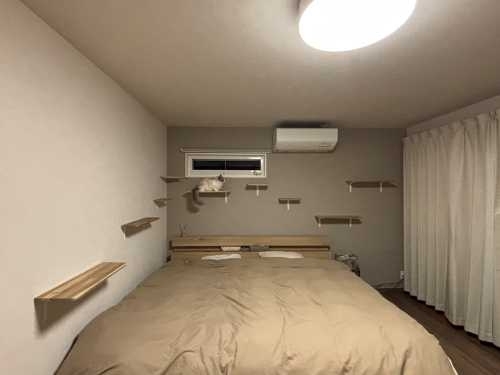 愛猫と快適に暮らす「猫ファースト」な住まいづくり